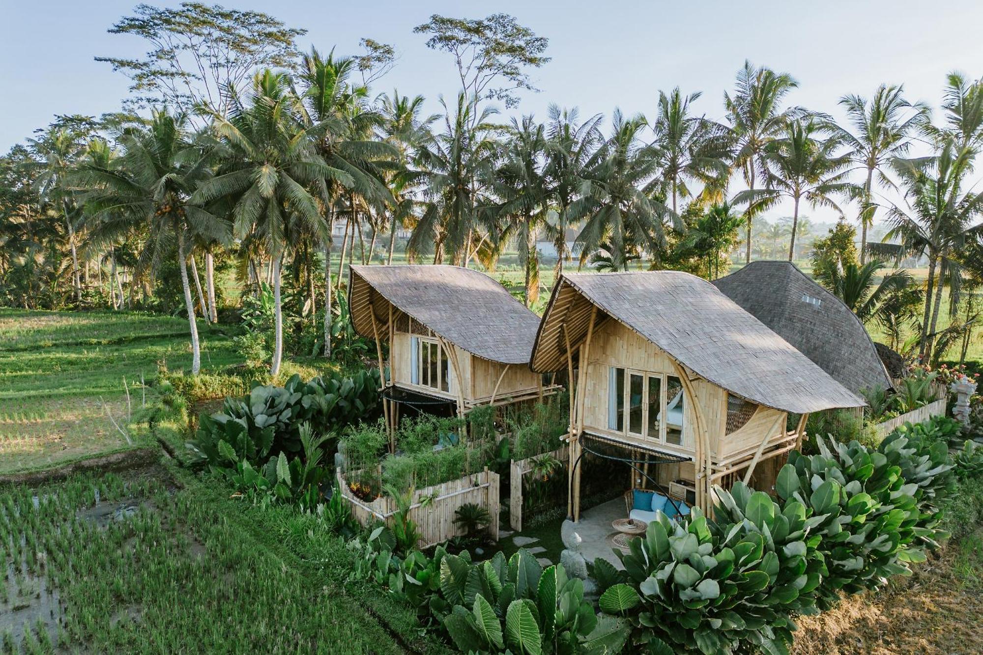 Puca Gavi Eco Luxury Villa Ubud Managed By Manara Dış mekan fotoğraf